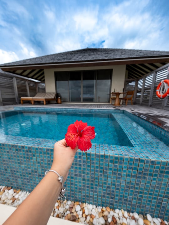 Photo shared by Travelwithgerda | Gerda | Travel Content Creator on July 30, 2026 tagging @residencemaldivesdhigurah. May be an image of Adenium, pool, outdoors and text.