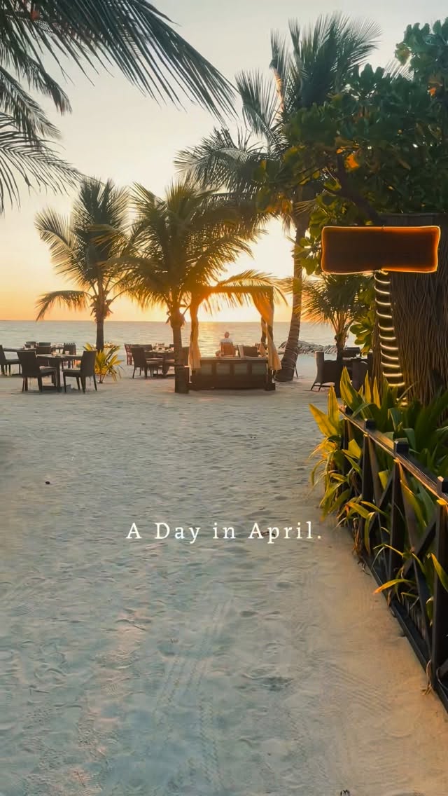 A Day in The Residence Maldives Beach Bar☀️ #cenizarohotelsandresorts #theresidencemaldives #beautifuldestinations #uniquedestinations