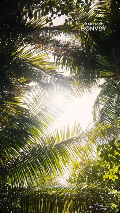 Le festività meritano di essere pianificate in anticipo.

Quest'anno, lascia che il ritmo della vita sull'isola detti il passo alla tua fuga festiva da @ritzcarltonmaldives.

Prenota tra il 15 settembre e il 15 novembre 20