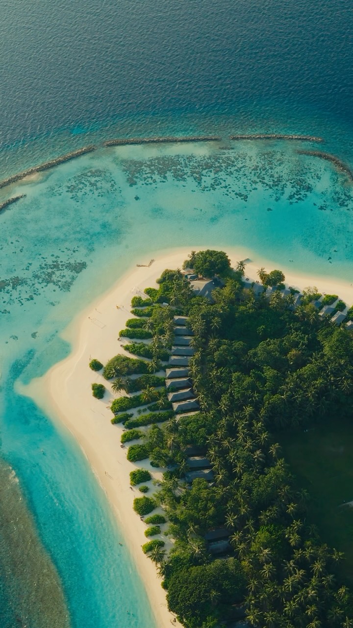 Ease into island time at Royal Island 🌴

🏖️ Start with a slow beach morning or a long pool day
🚲 Follow the jungle paths beneath the palms
🌊 Take a jet ski out across the lagoon
🚀 Try flyboarding