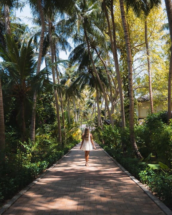 Photo shared by Royal Island, Maldives on July 28, 2026 tagging @visitmaldives, @amazing__maldives, @tripseatravellers, and @villaresortsmaldives. May be an image of outdoors, palm trees and text.