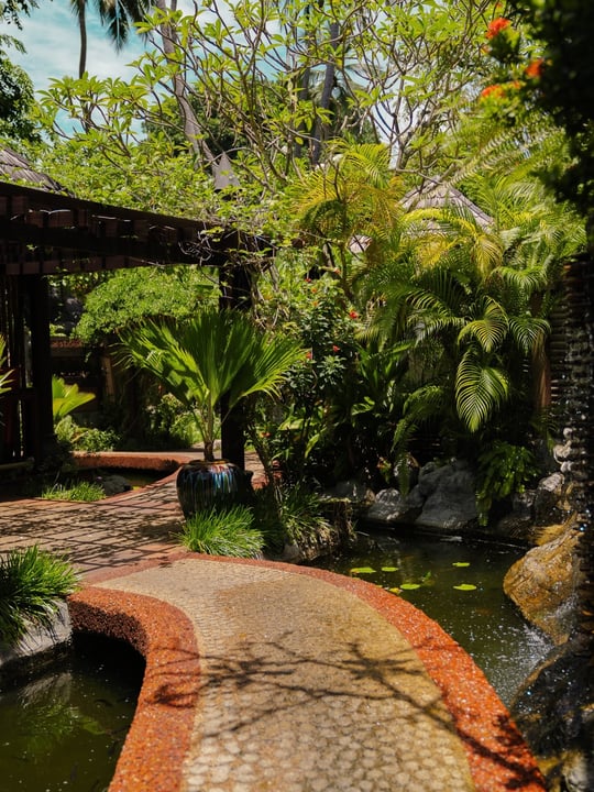 Photo shared by Royal Island, Maldives on August 05, 2026 tagging @visitmaldives, @janedain.visual, and @villaresortsmaldives. May be an image of park and text.