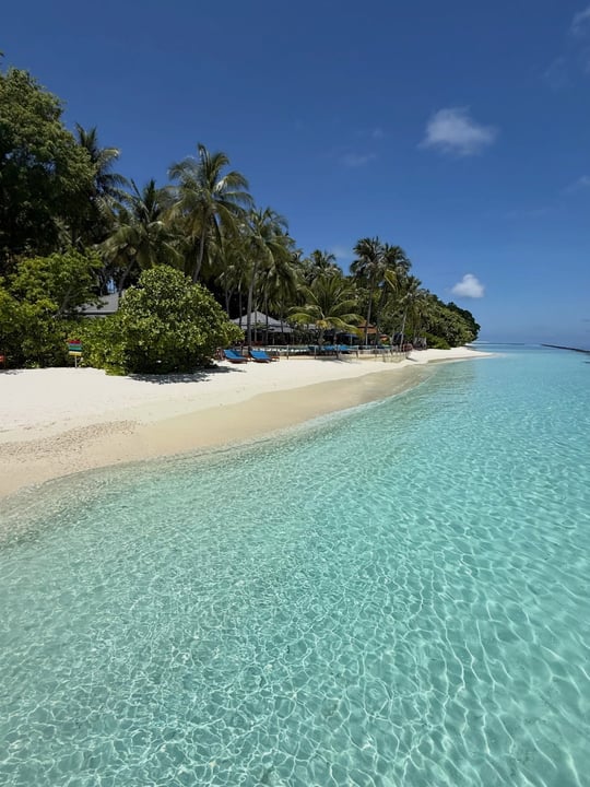 Foto condivisa da Amazing Maldives il 06 settembre 2026, con tag @royalmaldives e @maldivesinsider. Potrebbe essere un'immagine di oceano, spiaggia, orizzonte e testo.