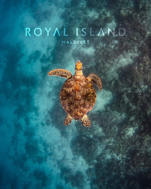 Foto condivisa da Alex & Silvia | TRAVEL | EXPLORE | STAYS il 16 settembre 2026, con tag @royalmaldives e @villaresortsmaldives. Potrebbe essere un'immagine di tartaruga, testuggine, poster e testo che dice "ROYAL 