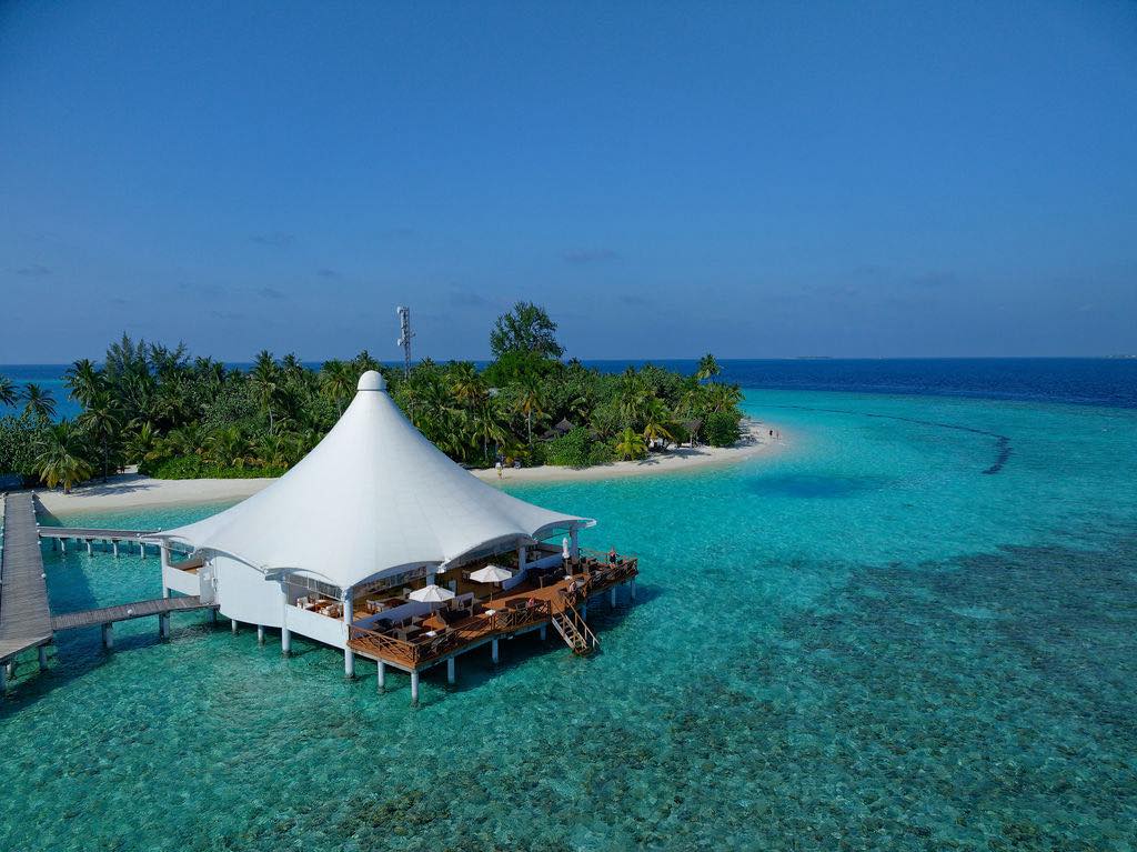 Photo by Safari Island on December 12, 2025.