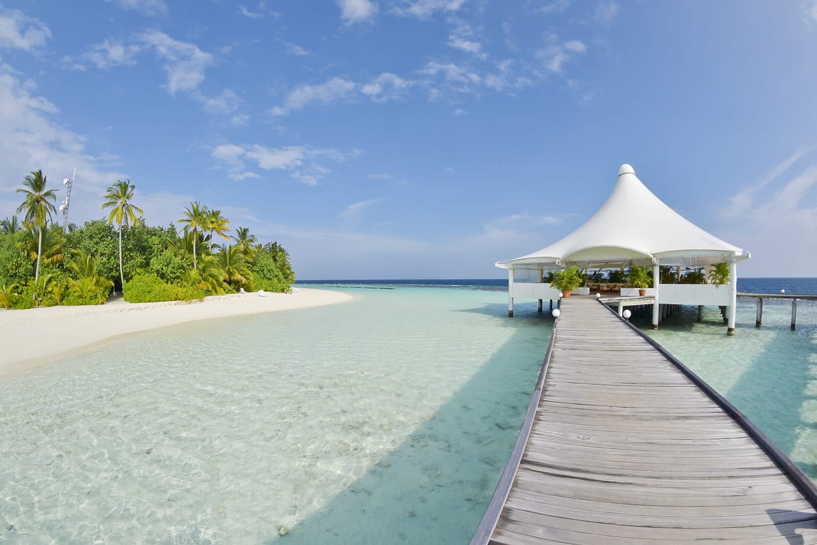 Palm Bar restaurant