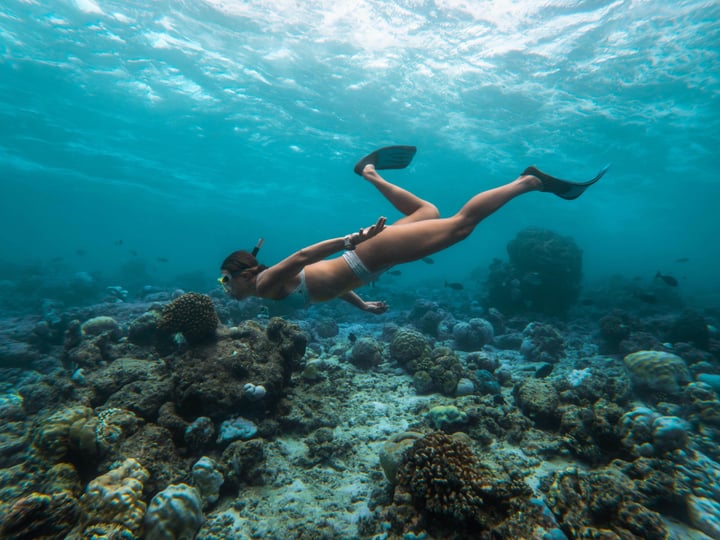 Foto von Sandies Bathala Maldives in Sandies Bathala Maldives. Möglicherweise ein Bild von Schwimmen, Schnorchel, Neoprenanzug, Wasser und Text.