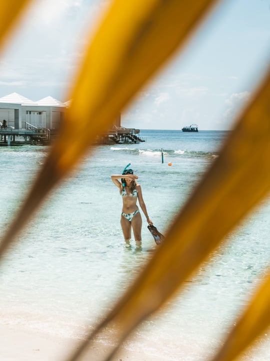 Photo by Sandies Bathala Maldives in Sandies Bathala Maldives. May be an image of beach, palm trees, water and text.