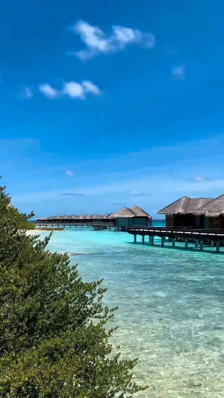 Der Countdown läuft 🌊✨

Unsere neu gestalteten Wasservillen sind fast bereit, enthüllt zu werden – neu erdacht für eine gehobene Inselauszeit.

Die Wartezeit hat bald ein Ende. Bleiben Sie dran für die Enthüllung, die bald