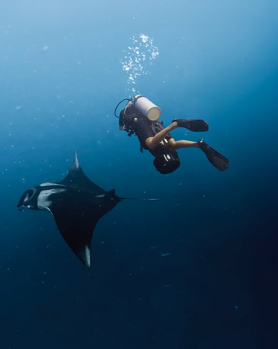 Hier draußen weiß man nie so genau, wer einen auf der Fahrt begleiten wird.

Wir starteten zu einem Scooter-Tauchgang durch das Lhaviyani Atoll, und irgendwo im Blau glitt ein Oceanic Manta ins Bild. Ein paar unvergessliche