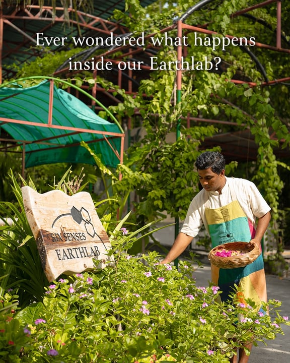 Photo by Six Senses Laamu on June 05, 2026. May be an image of magazine, newspaper, herb and text that says "Ever wondered what happens inside our Earthlab? SENSES EARTHLAB".