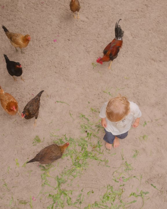 Foto geteilt von Six Senses Laamu am 28. August 2026, markiert @partimetravelers. Möglicherweise ein Bild von Kind, Vogel und Text.