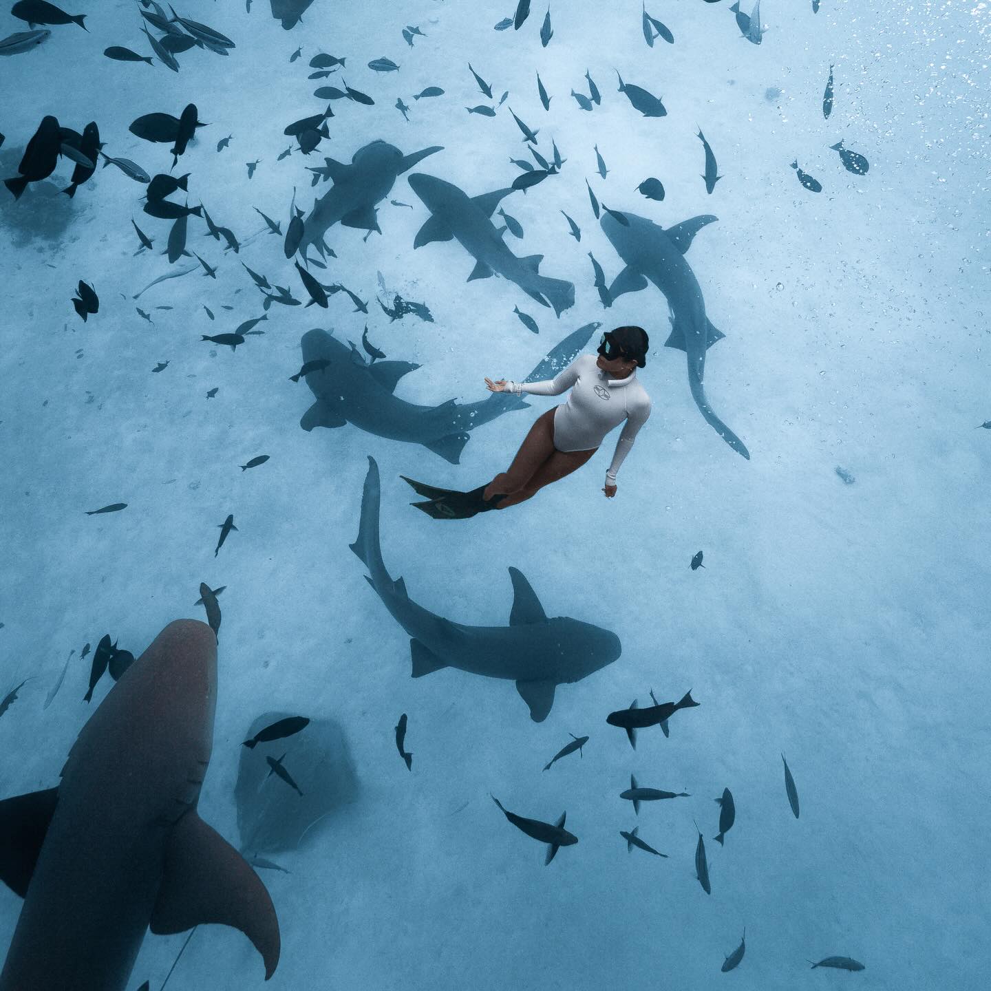 Skip the surface.
This is where it gets real 🦈

Are you in? 

#siyamworld #freediving #nurseshark #maldives