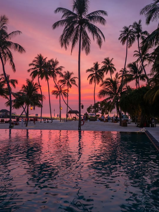 The Maldives through my lens 📸🏝️ For as long as I’ve been using a camera, I had dreamed of visiting these far away islands in the Indian Ocean. This year, the stars aligned and I finally got to expe