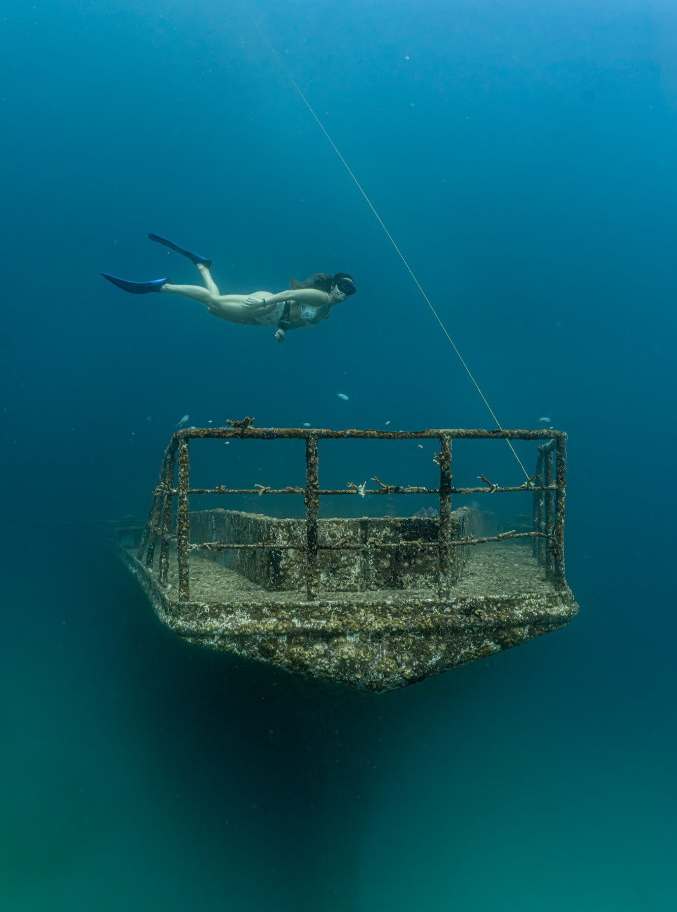 Photo by Saeed Rashid in Siyam World with @monicaroams, @sundivingmaldives, and @siyamworld. May be an image of swimming, boat, snorkel, wetsuit, water and text.