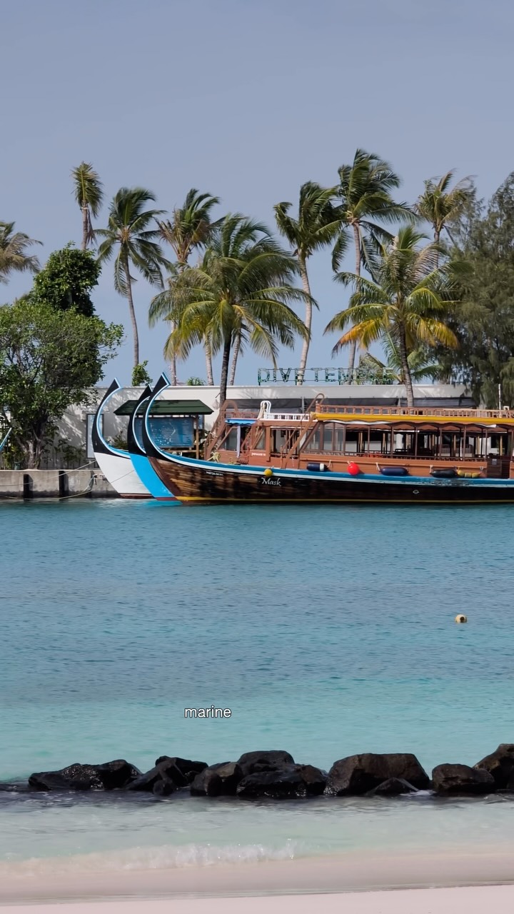 Un piccolo riepilogo della nostra settimana di conservazione marina a @siyamworld 🌊✨

📍 Maldive