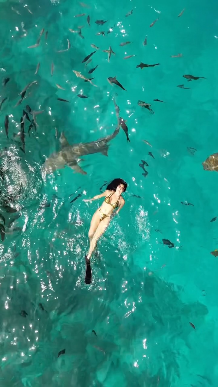 Auf den Malediven leben? Nett. Im SO/ Maldives leben? Legendär.

#Maldives