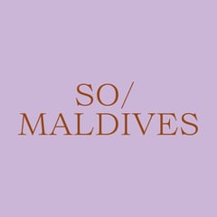 @so.maldives profile picture