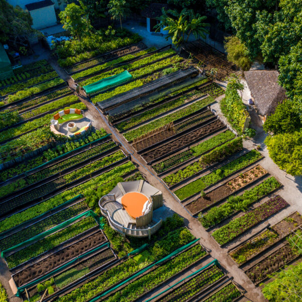 Shades of Green restaurant