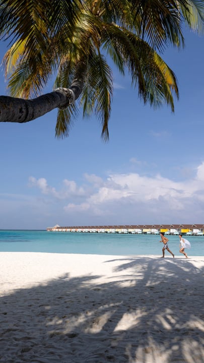 POV: Out of office, just having fun and enjoying every moment.
Good vibes, easy days and island lifestyle.
Be More Maldives

#BookDirect to save more — link in bio.

#WorldOfHyatt #TheStandard #TheSta