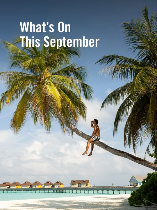 Foto di The Standard, Maldives del 06 settembre 2026. Potrebbe essere un'immagine di rivista, esterni, palme e testo che dice "What's On This September TEHI 2料".