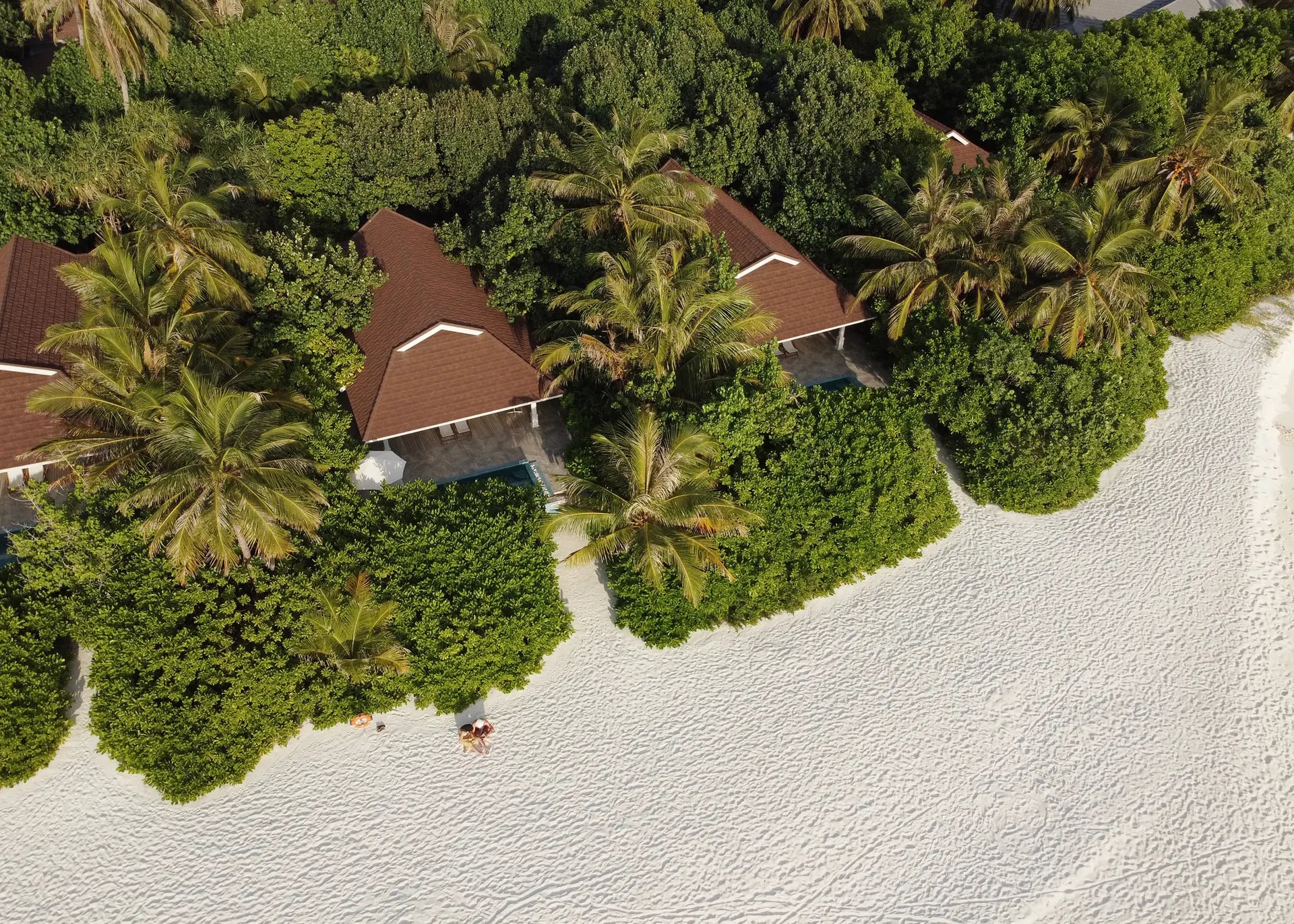 Lagoon Beach Pool Villa im The Standard Maldives