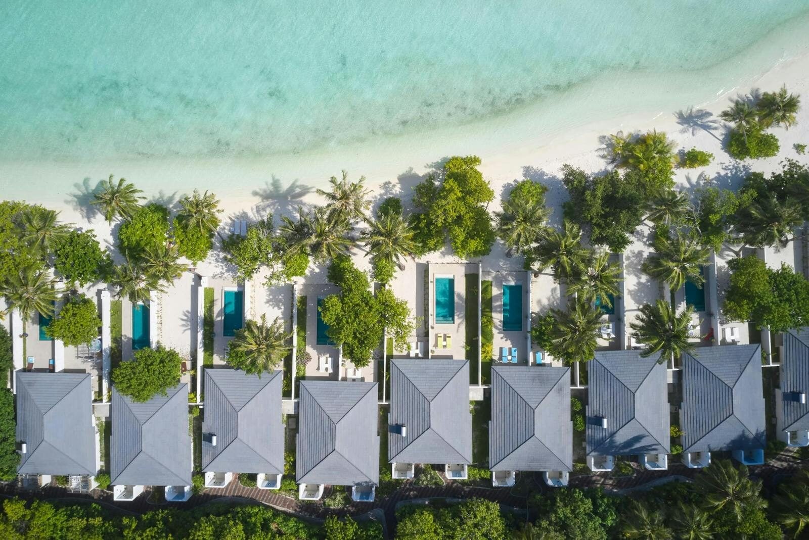 Una veduta aerea mostra una fila di Beachfront Villas con piscine private tra le palme, accanto a una costa turchese.