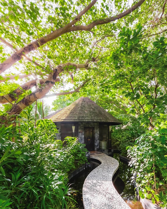 Photo by Iru Fushi on August 02, 2026. May be an image of bamboo, tree house and text.