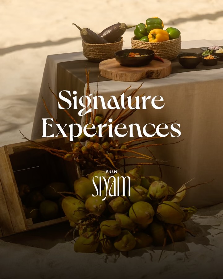 Ein Aufenthalt bei Sun Siyam soll sich anfühlen wie nirgendwo sonst auf der Welt.

Unsere Signature Experiences verbinden Originalität, Innovation und authentischen maledivischen Geist, um Sie über das Erwartete hinauszuführen.

Wischen Sie, um mehr zu entdecke