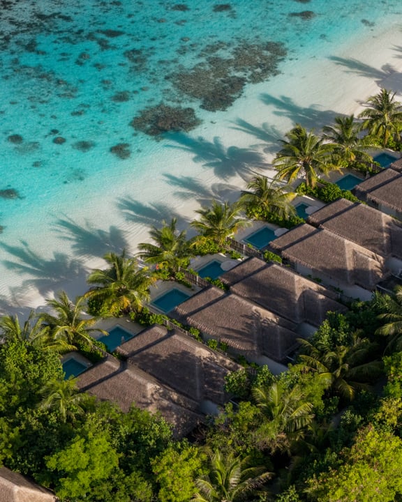 Foto von Iru Veli in Sun Siyam Iru Veli. Könnte ein Bild von Palmen, Wasser und Text sein.