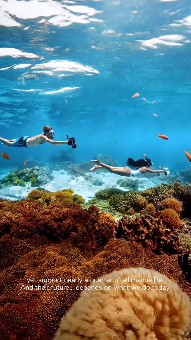 Earth Day, with purpose! 🌍

Today, our guests took part in our “Adopt Your Coral” experience gently placing coral fragments and learning how each small step helps restore our reefs.
A beautiful remin