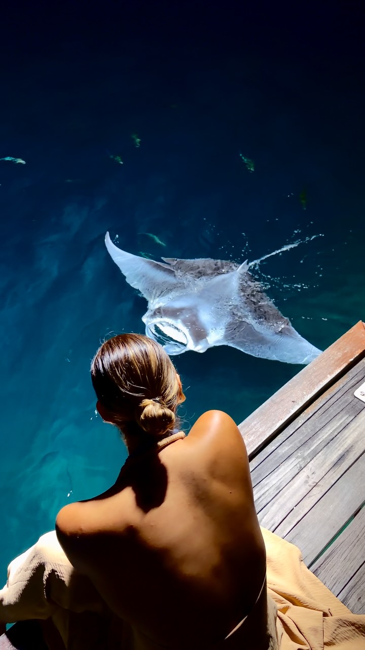Ein Moana-Moment auf den Malediven 🥹🩵🌺

Bei @sunsiyamolhuveli gibt es eine Leuchttafel, die eingeschaltet ist, wenn Mantas gesichtet wurden. Wir sind jeden Abend hingegangen, aber entweder war es zu windig oder das Meer war z