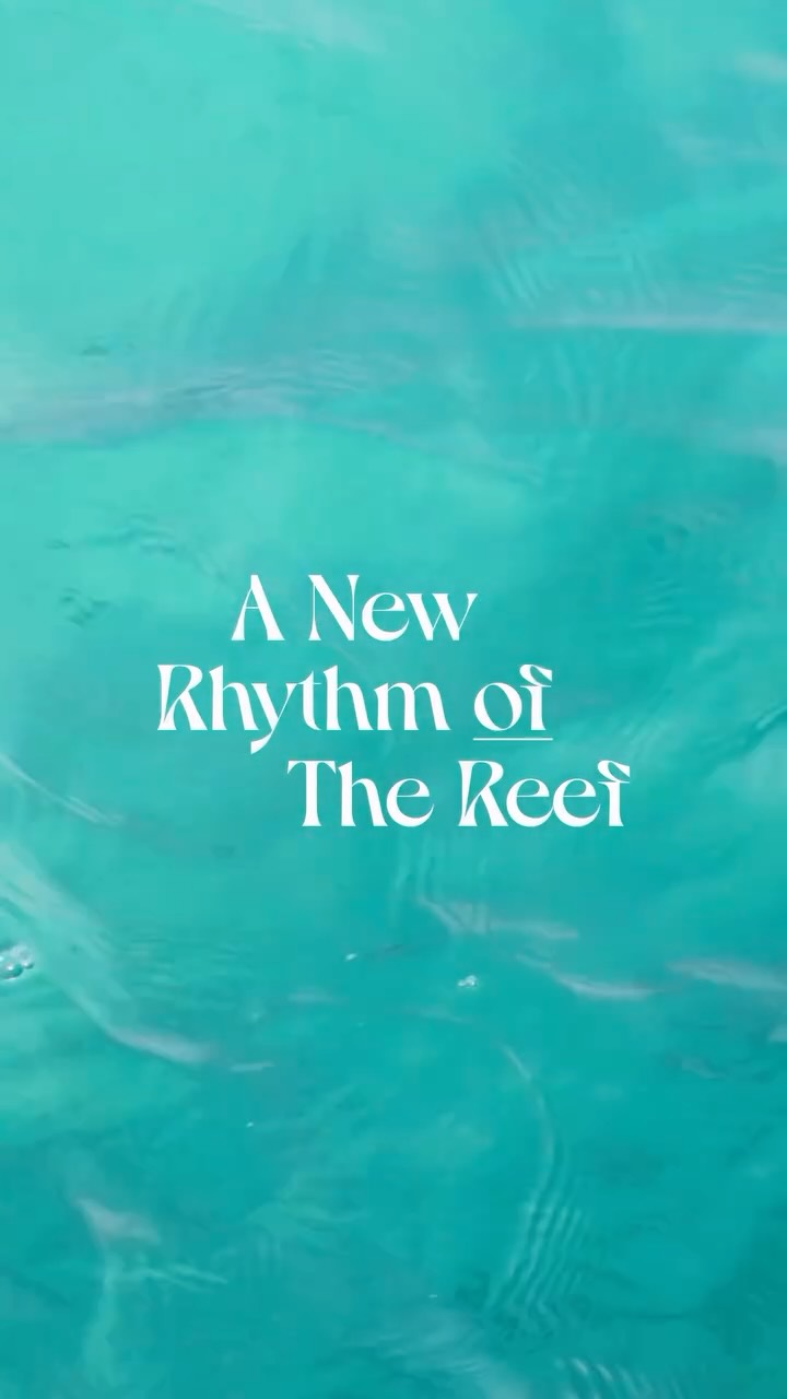 Reimagined. Refined. Elevated.

Introducing the Ocean Signature Villas, a fresh take on island luxury where contemporary design, enhanced comfort, and thoughtfully curated details come together to cre