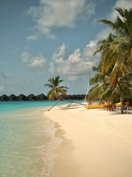 Foto von Vilu Reef vom 22. August 2026. Könnte ein Bild von Strand, Meer, Palmen und Text sein.