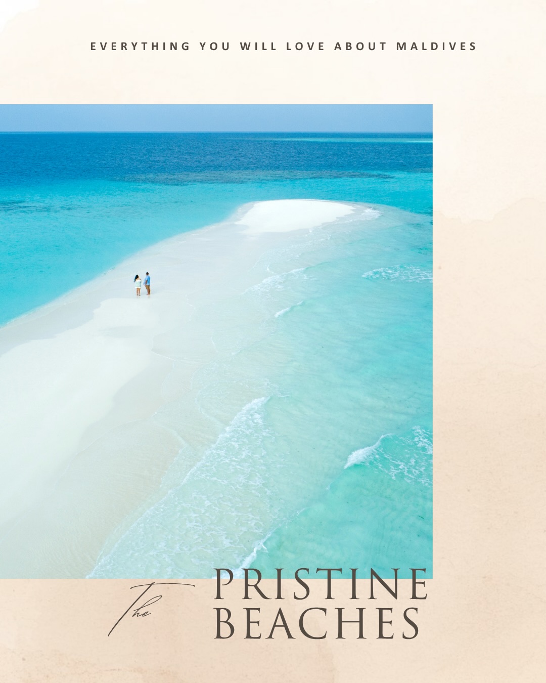 Escape to our corner of the coral reef. 
Take advantage of exclusive offers and packages designed to make your stay unforgettable. 

For bookings, simply head to the link in bio and start planning you