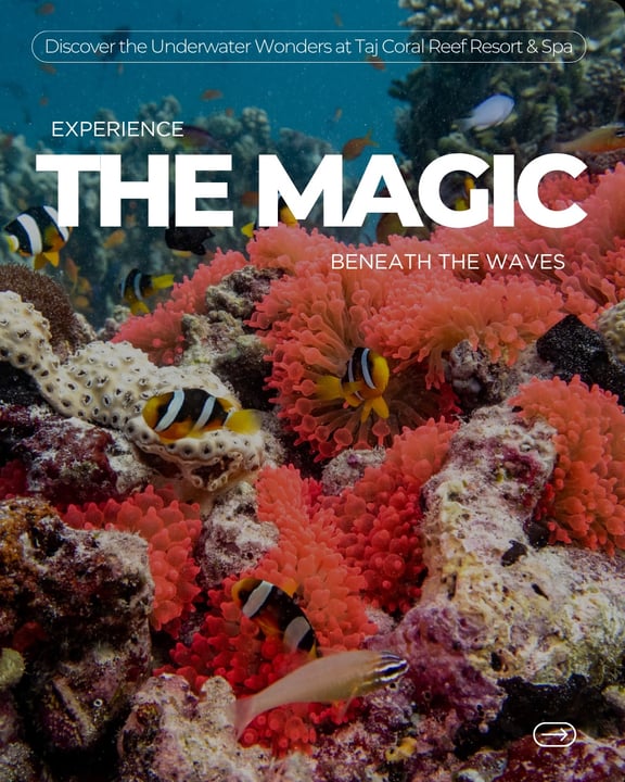 Photo by Taj Coral Reef Resort & Spa on May 14, 2026. May be a graphic of fish, poster, magazine and text that says "Discover the Underwater Wonders at Taj Coral Reef Resort & Spa EXPERIENCE THE MAGIC