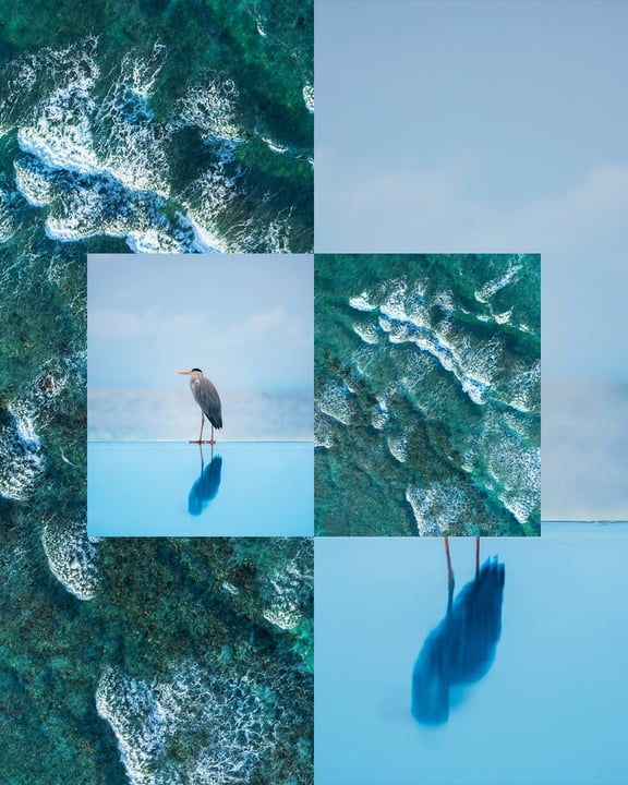 Là où chaque horizon raconte une histoire.
Flânez parmi les palmiers luxuriants, suivez la marée et découvrez la beauté qui se cache sous la surface.

#TajCoralReef #TajMaldives #IslandEscape #TropicalParadise