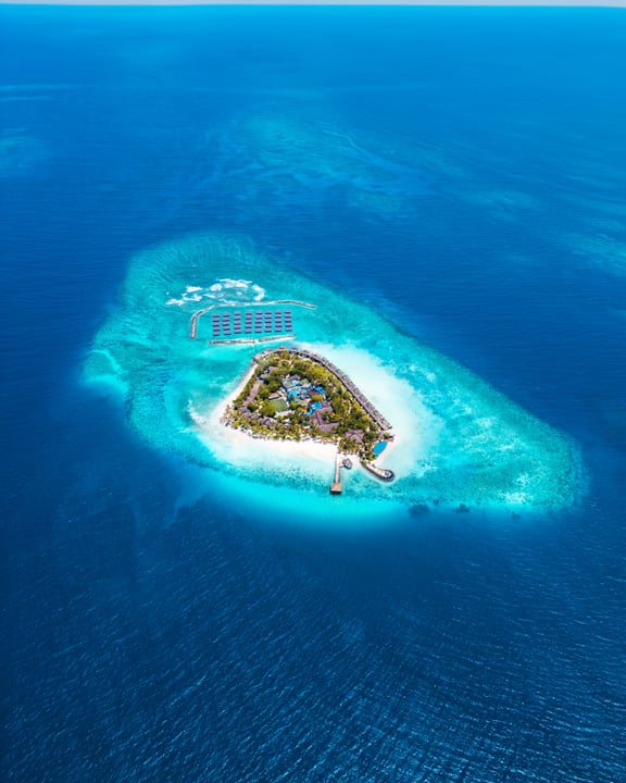 Foto di Taj Coral Reef Resort & Spa del 13 settembre 2026. Potrebbe contenere oceano, acqua e testo.