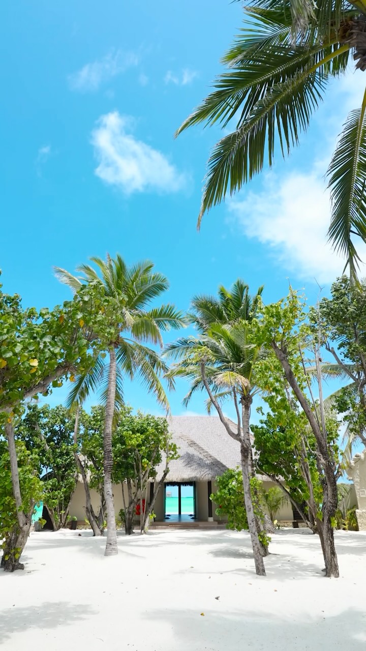 Treten Sie ein in die Gelassenheit. ✨
Tauchen Sie ein in wohltuende Behandlungen und sanfte Bewegung im J Wellness Circle, wo jedes Ritual Sie einlädt, innezuhalten, durchzuatmen und einfach zu sein. 🌿

#TajExotica #JWellnessCir