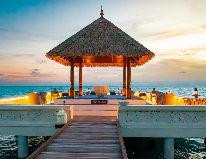 Where the coast meets the coast. 🌴

Recipes rooted in India’s coastal kitchens, all enjoyed against the rhythm of the Maldivian ocean.

Sol & Sea.

#TajExotica #SolAndSea #IslandDining #Maldives