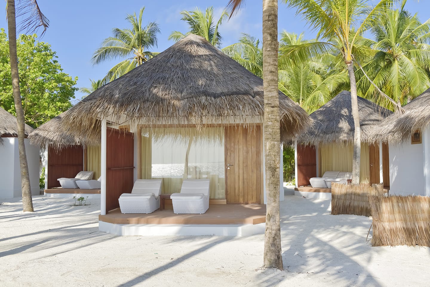 Standard Deluxe Beach Bungalow exterior with palm and sand