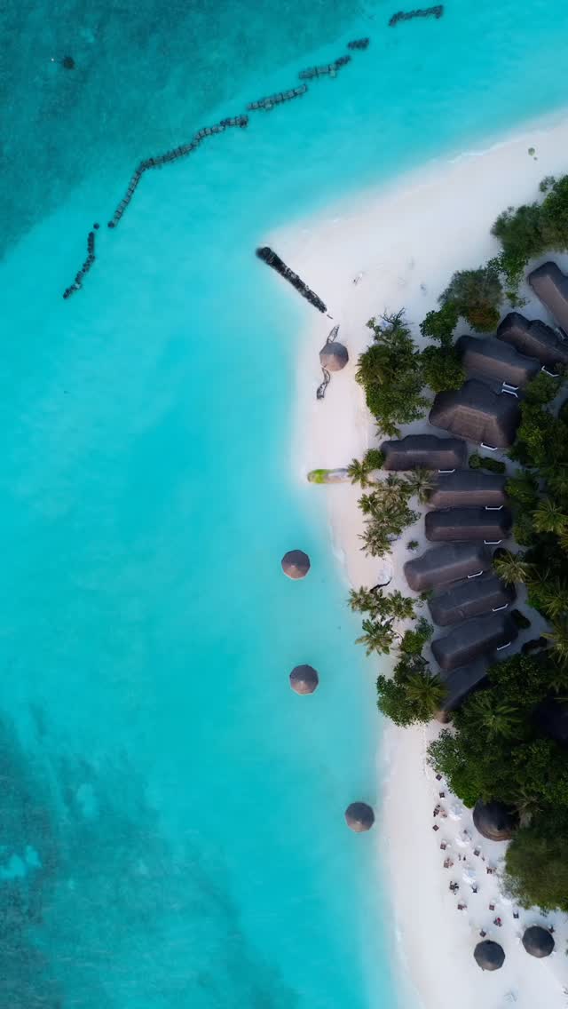 Where the beach bar meets ocean life 🌊🍸
Relax, unwind, and enjoy your holiday at Thulhagiri Island Resort & Spa 🌴 #thulhagiri #maldives #sunnysideoflife #visitmaldives #holiday