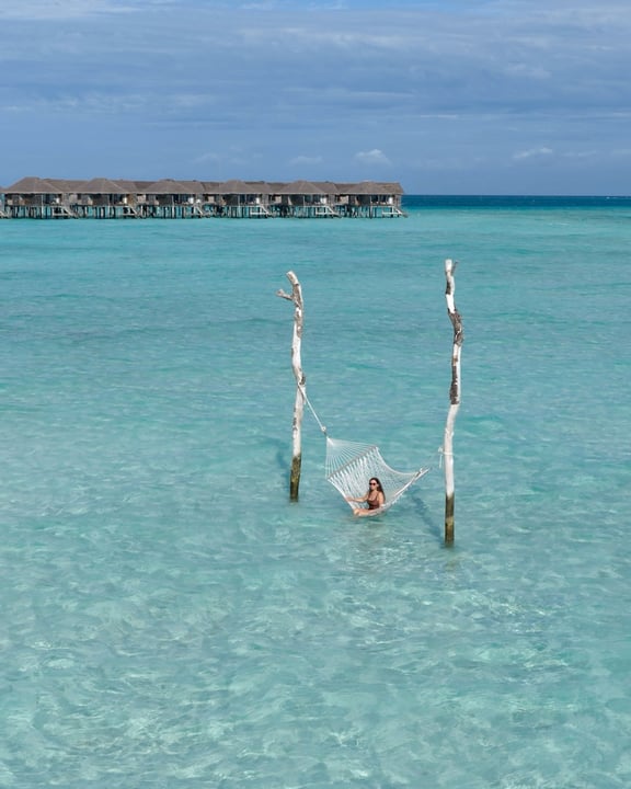 Photo by Ceyda Aksehirlioglu | 📍Singapore | Travel&Hotels in Vakkaru Maldives with @vakkarumaldives, and @deluxecreatorsgo. May be an image of pelican, ocean and text.
