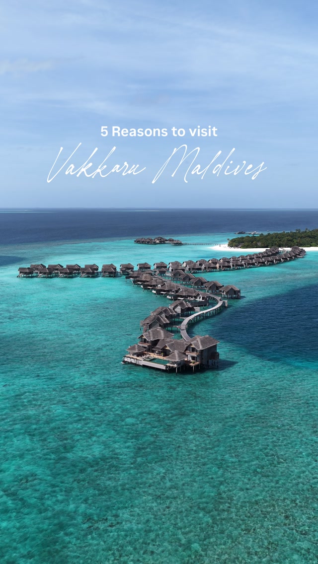 Après avoir visité plus de 30 resorts aux Maldives, Vakkaru reste l'un des plus beaux où j'aie jamais séjourné, et celui que je continue de recommander 💙

Voici pourquoi il reste dans ma liste :

1️⃣ Une Clé Michelin