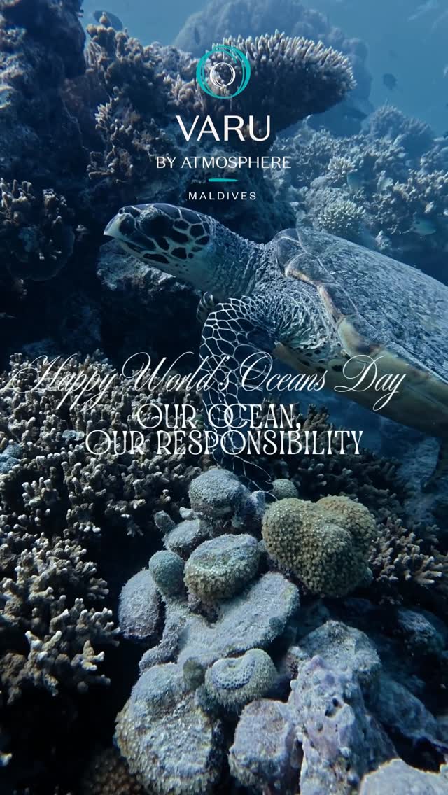 Today, we celebrate the breathtaking beauty and life-giving power of our vast blue ocean. We invite you to discover the wonders of our delicate underwater island home. 

Join our team today for an enr