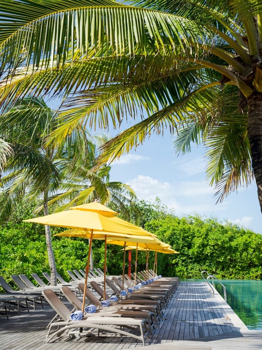 Foto von VARU by Atmosphere vom 16. Juli 2026. Könnte ein Bild von Liegestuhl, Sonnenschirm, Chaiselongue, Palmen, Cabana, im Freien und Text sein.
