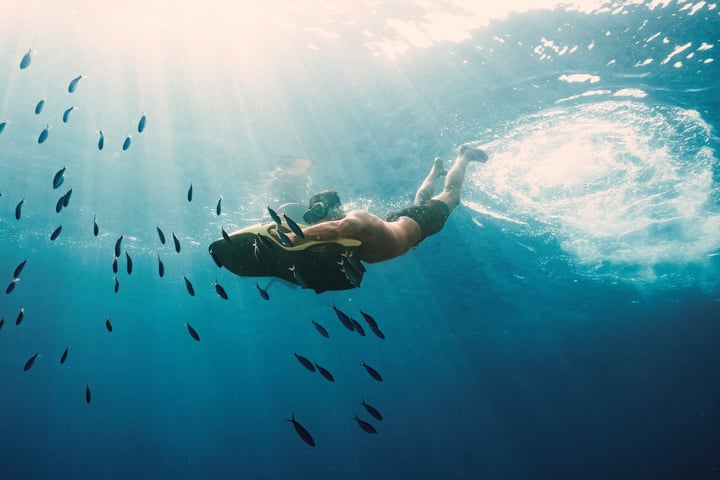 Foto von Velaa Private Island Maldives vom 13. Juli 2026. Zu sehen sind möglicherweise Schwimmen, ein Fisch, Schnorchel, Neoprenanzug, Wasser und Text.