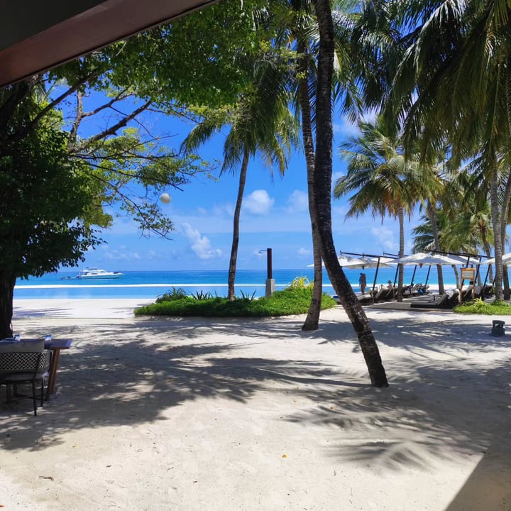 Foto geteilt von Fai Zan am 04. September 2026 mit Tag @nivavelassarumaldives. Könnte ein Bild von Liegestuhl, Strand, Palmen, Cabana und Text sein.