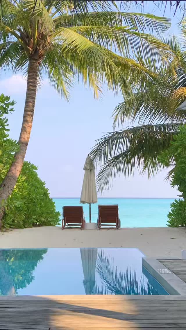 Ihr privater Inselrückzugsort wartet. 🌴 Ein eigener Pool für ruhige Morgen, wenige Schritte barfuß bis zum Strand und Ihre eigene kleine Ecke von Niva Velassaru zum Ankommen.

Ein Blick in Ihre Beach Villa with Pool