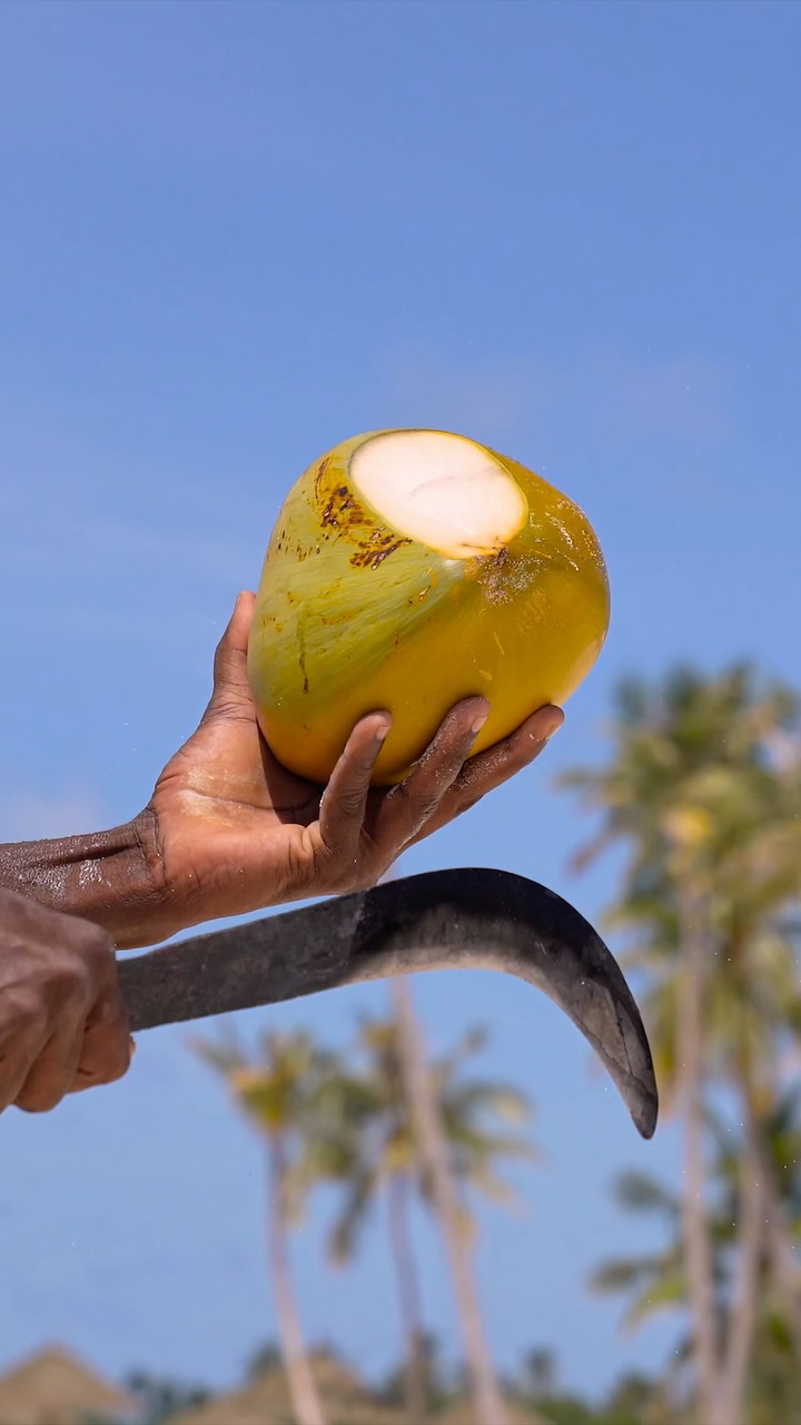 Happy World Coconut Day 🥥
Etwas mehr Kokosnuss. Etwas mehr Inselleben. 🌴

Bekannt als der „Baum des Lebens“, ist die Kokospalme seit Generationen Teil des Inseldaseins; sie schenkt uns Wasser, Milch,